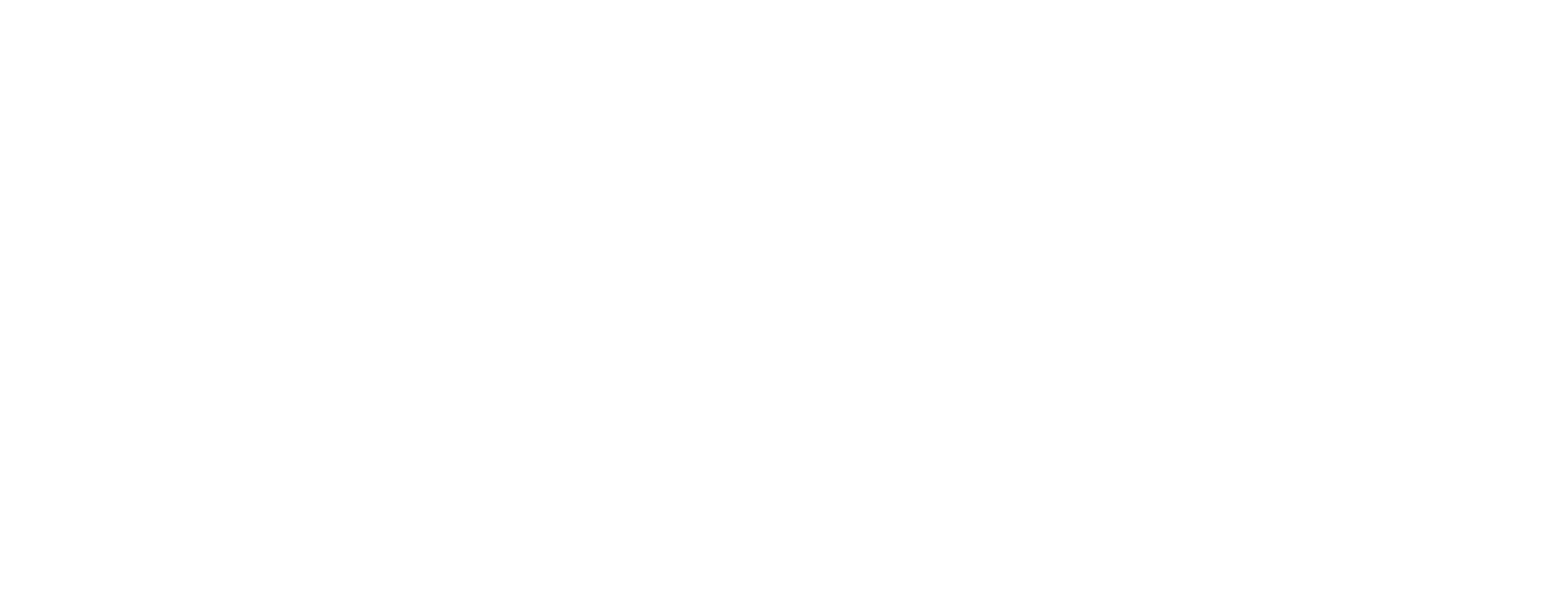 AoPN logo transparent white